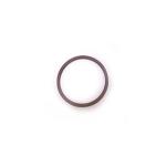 CHAPIN VITON O-RING - 22790XP