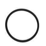 CHAPIN LID O RING - VITON